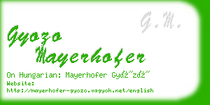 gyozo mayerhofer business card